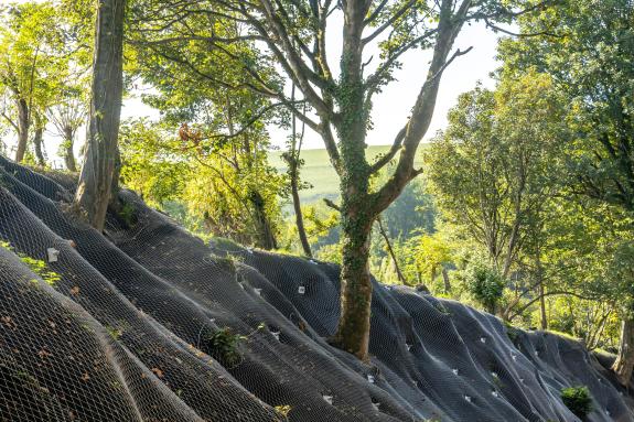 A slope covered in a special tensile mesh, with trees to show stabilisation progress