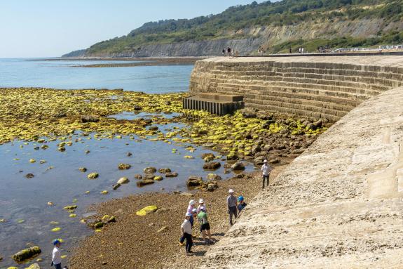 people in hard hats at the base of a long wall structure next to the sea